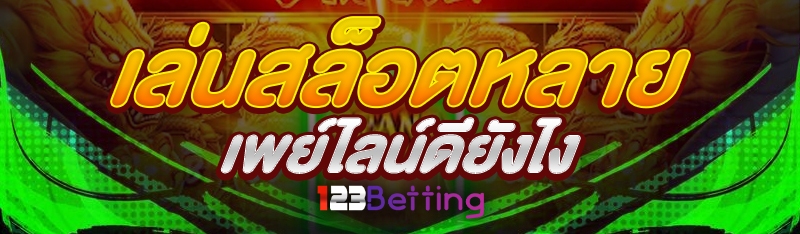 เล่นสล็อตหลายเพย์ไลน์ดียังไง