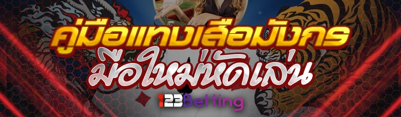 คู่มือแทงเสือมังกร มือใหม่หัดเล่น 