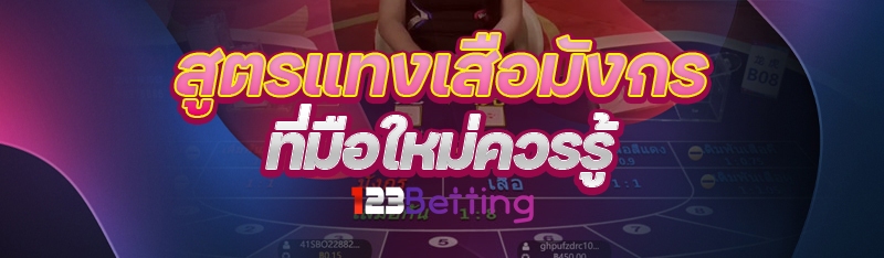 สูตรแทงเสือมังกร ที่มือใหม่ควรรู้