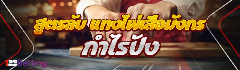 สูตรลับ แทงไพ่เสือมังกร กำไรปัง